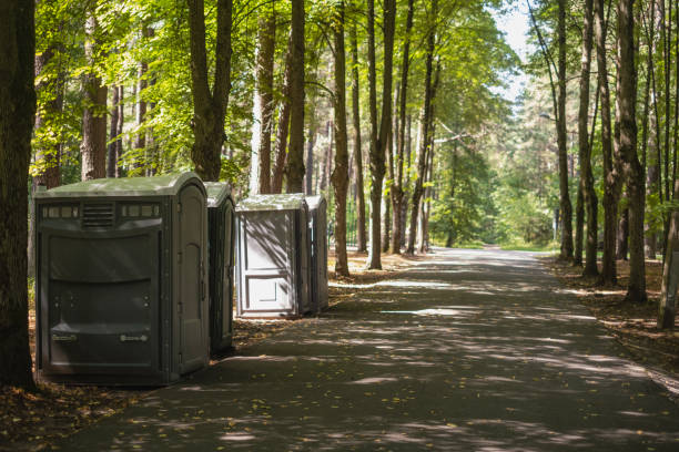 Portable Toilet Options We Offer in Alton, TX